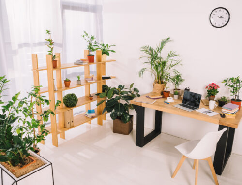 5 styles de bureau côté jardin