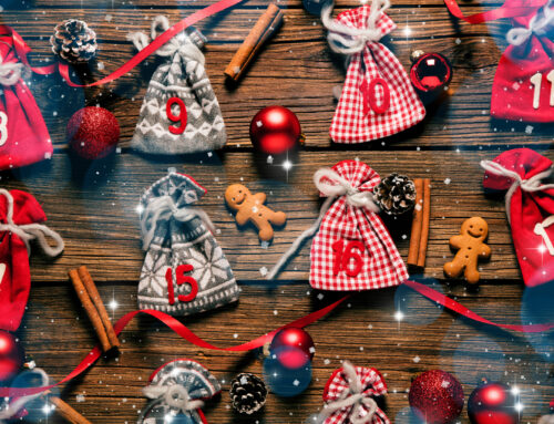 Calendrier de l’Avent des RH 2025 — Nos racines de bâtisseurs